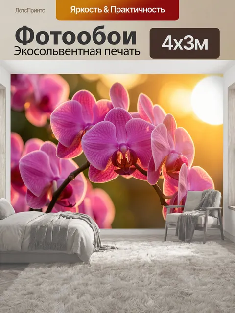 400 × 300 см · Экосольвентная печать