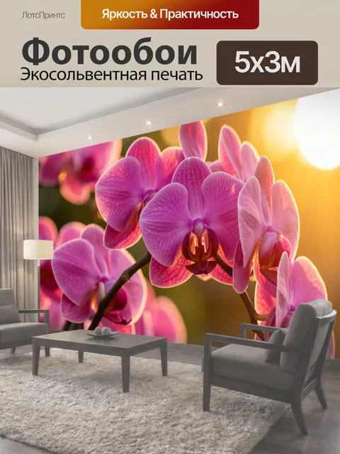 500 × 300 см · Экосольвентная печать