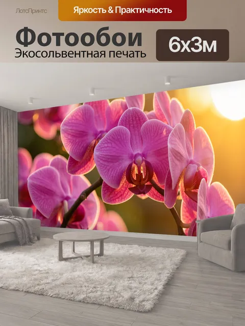 600 × 300 см · Экосольвентная печать