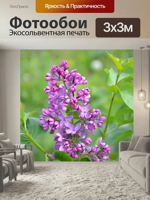 Фотообои Сирень, весна, цветение