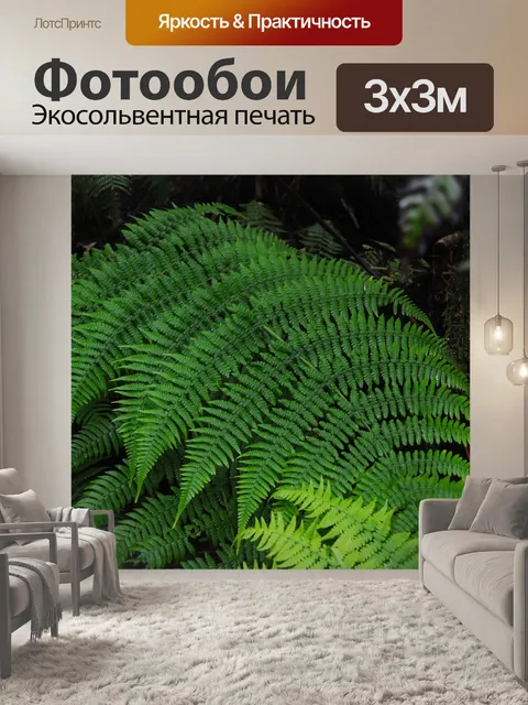 Фотообои Папоротник, дорожка, тенерифе