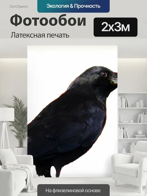 200 × 300 см · Латексная печать