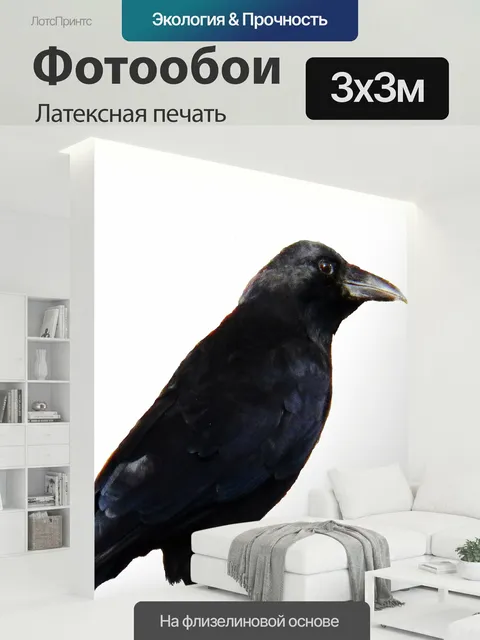 300 × 300 см · Латексная печать
