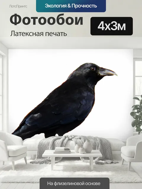 400 × 300 см · Латексная печать