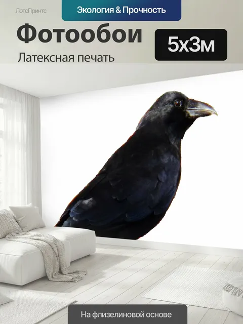500 × 300 см · Латексная печать