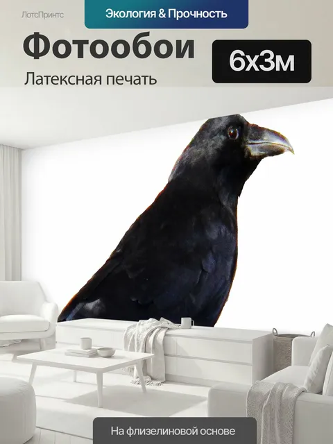 600 × 300 см · Латексная печать