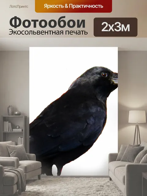 200 × 300 см · Экосольвентная печать