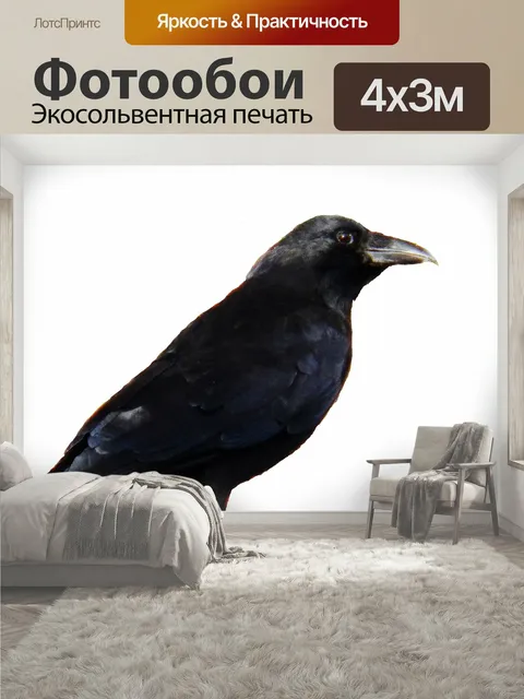 400 × 300 см · Экосольвентная печать