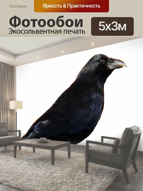 Фотообои Ворона фотография