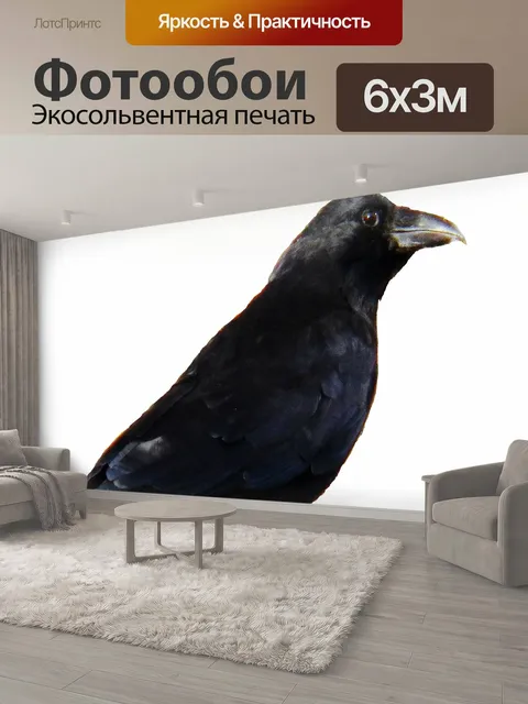 600 × 300 см · Экосольвентная печать