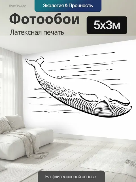 500 × 300 см · Латексная печать