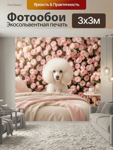 Фотообои Пудель на фоне розовых цветов. Элегантный белоснежный пёс с объёмной стрижкой сидит среди нежных пионовидных …