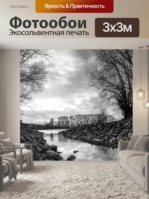 Фотообои Поток, рейн, черно-белый