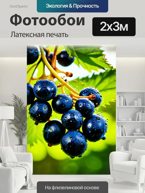 200 × 300 см · Латексная печать