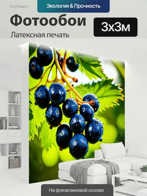 300 × 300 см · Латексная печать