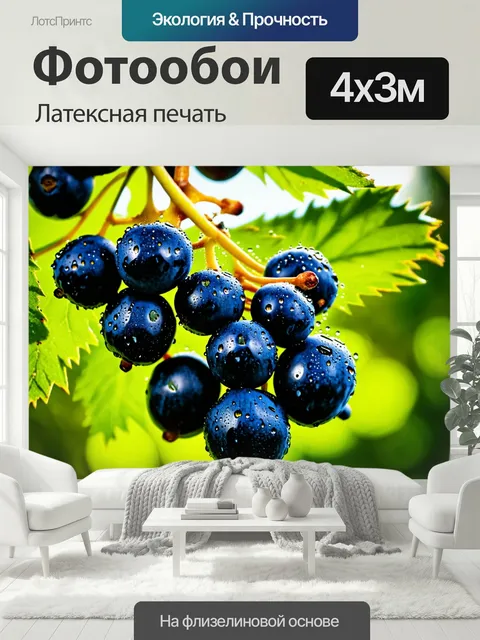400 × 300 см · Латексная печать