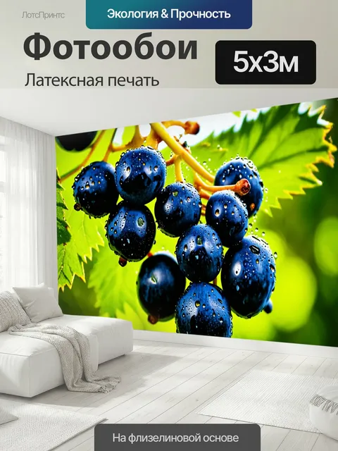 500 × 300 см · Латексная печать