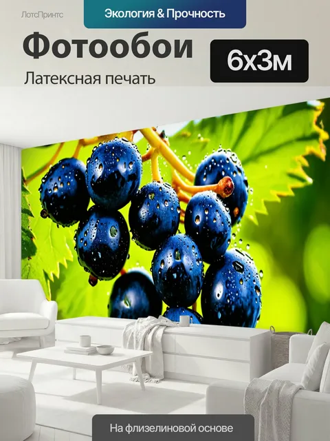 600 × 300 см · Латексная печать