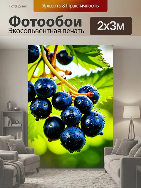 200 × 300 см · Экосольвентная печать