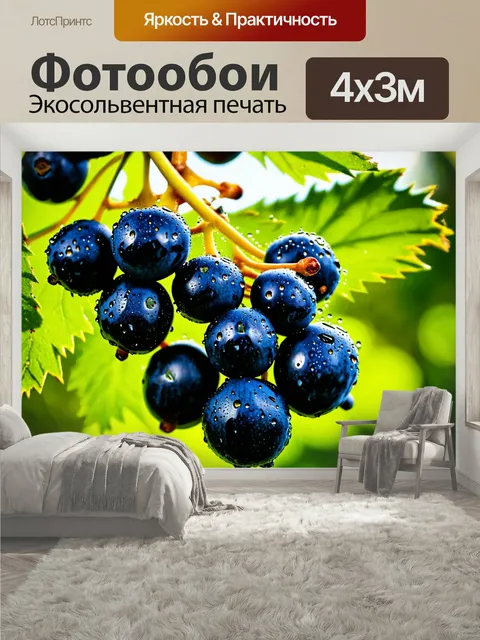 400 × 300 см · Экосольвентная печать