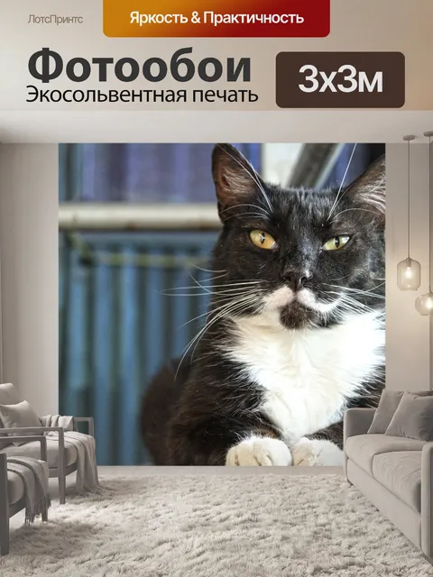 Фотообои Кот, котенок, талисман