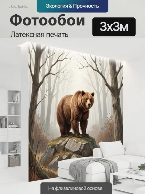 300 × 300 см · Латексная печать