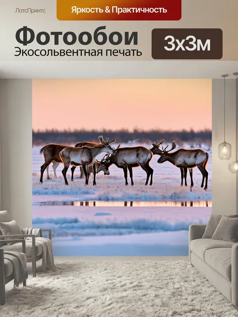 Фотообои Россия тундра, стая диких северных оленей, пронизывающее холодное дыхание зимы, ярко-красные и оранжевые отте…