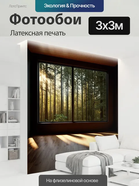 300 × 300 см · Латексная печать