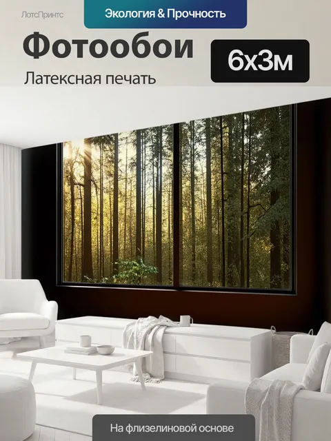 600 × 300 см · Латексная печать