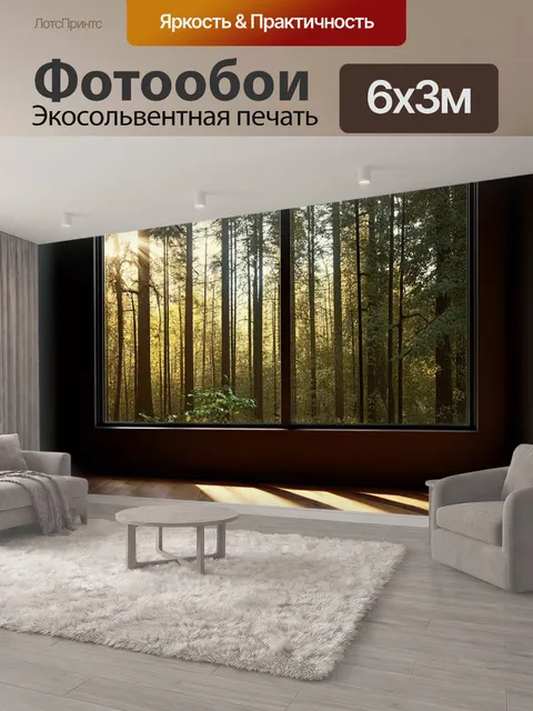 600 × 300 см · Экосольвентная печать