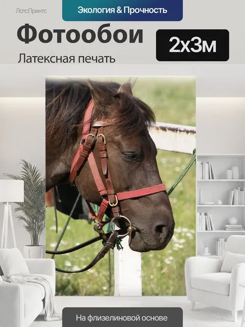 200 × 300 см · Латексная печать