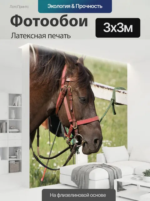 300 × 300 см · Латексная печать
