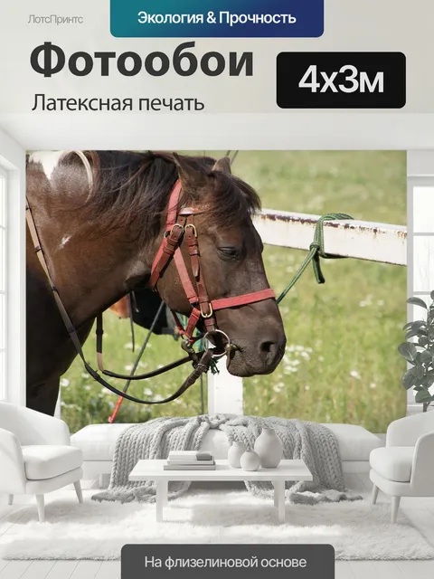 400 × 300 см · Латексная печать