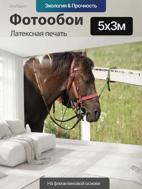 500 × 300 см · Латексная печать