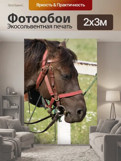 200 × 300 см · Экосольвентная печать