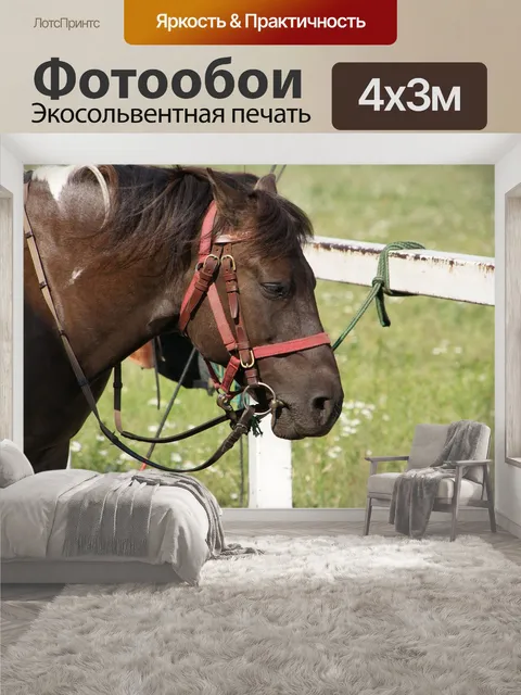400 × 300 см · Экосольвентная печать