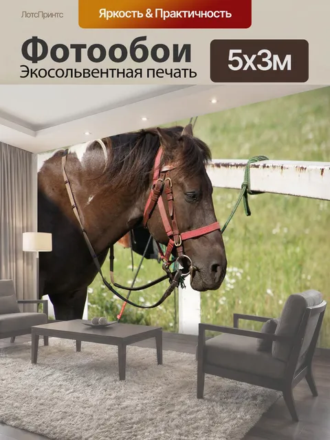 500 × 300 см · Экосольвентная печать