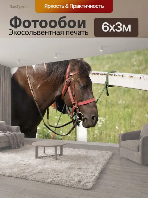 600 × 300 см · Экосольвентная печать