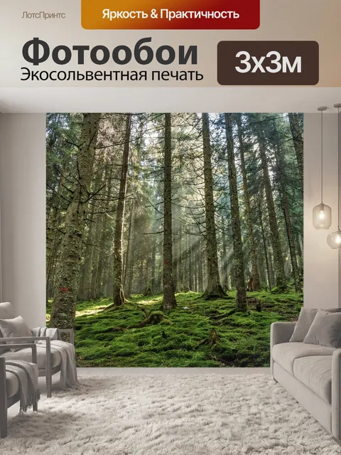 Фотообои Лес, сосновый лес, сосна