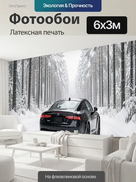 600 × 300 см · Латексная печать