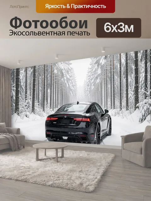600 × 300 см · Экосольвентная печать