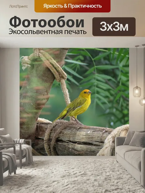 Фотообои Канарейка, дерево, тропическая птица