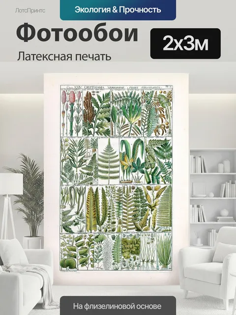 200 × 300 см · Латексная печать