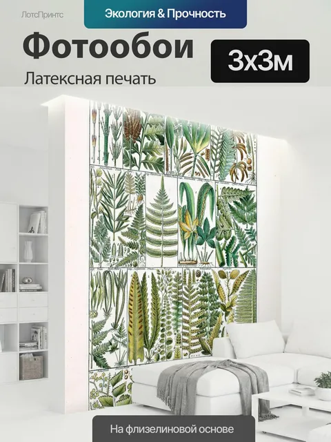 300 × 300 см · Латексная печать