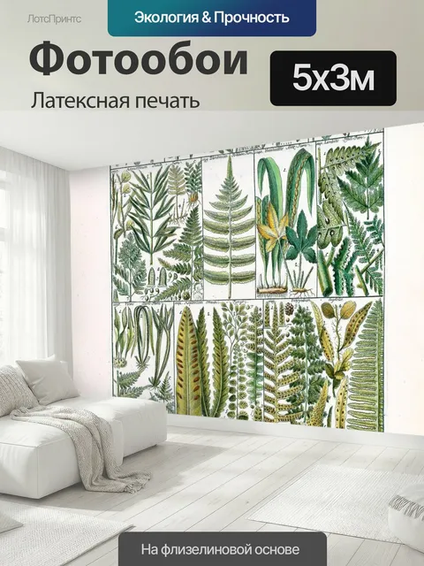 500 × 300 см · Латексная печать