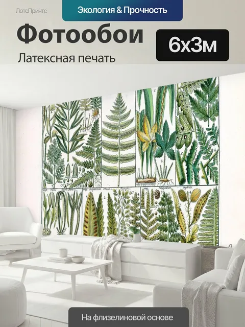 600 × 300 см · Латексная печать