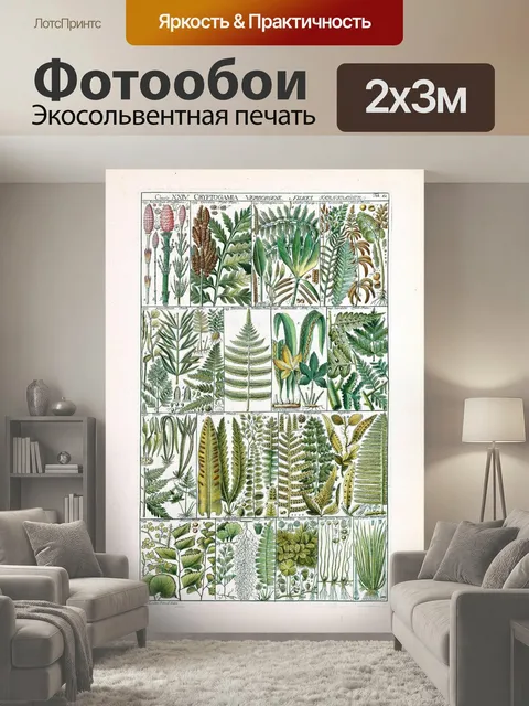 200 × 300 см · Экосольвентная печать