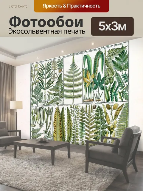 Фотообои Винтажный плакат с папоротником Старинный плакат с принтом