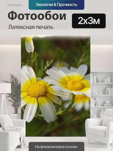 200 × 300 см · Латексная печать