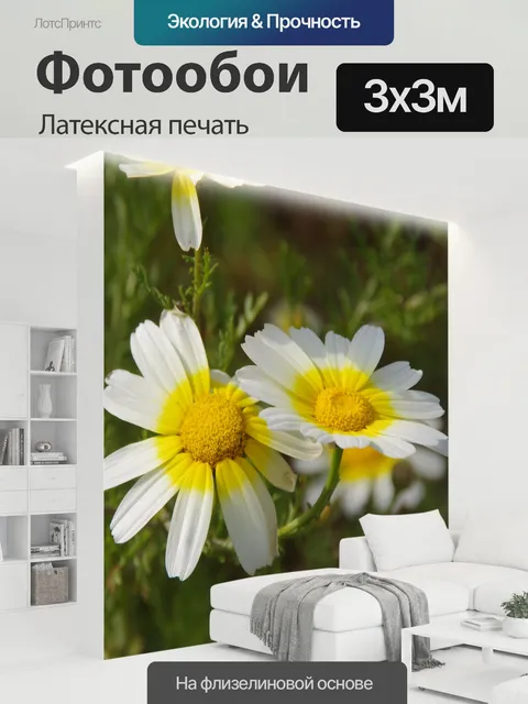 300 × 300 см · Латексная печать